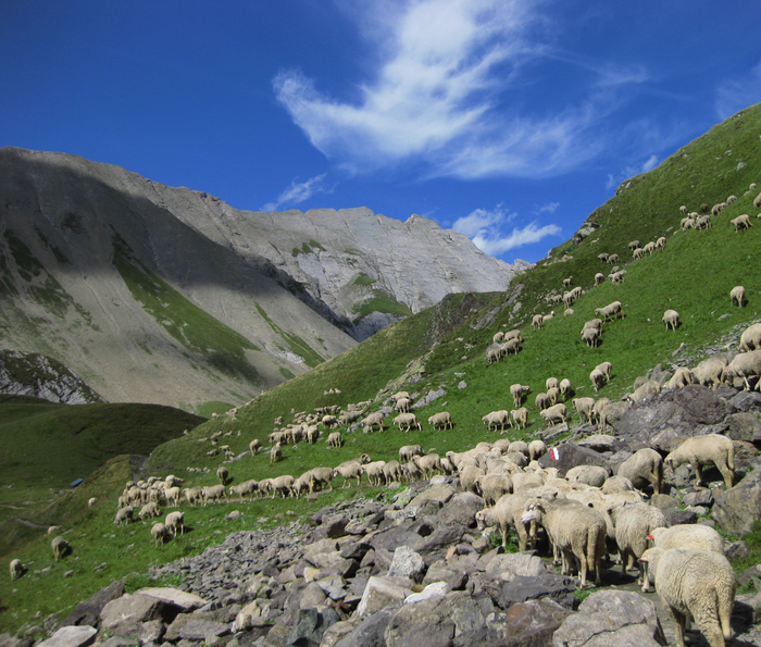 p2008 09mtblanc 0228m