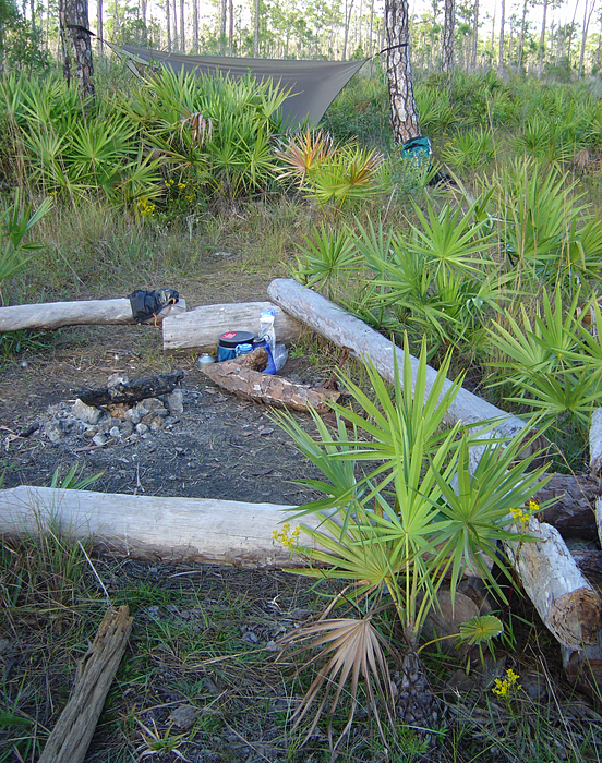 p2007 01 sony 01425m