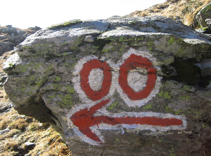 p2008 10b canon 1014m