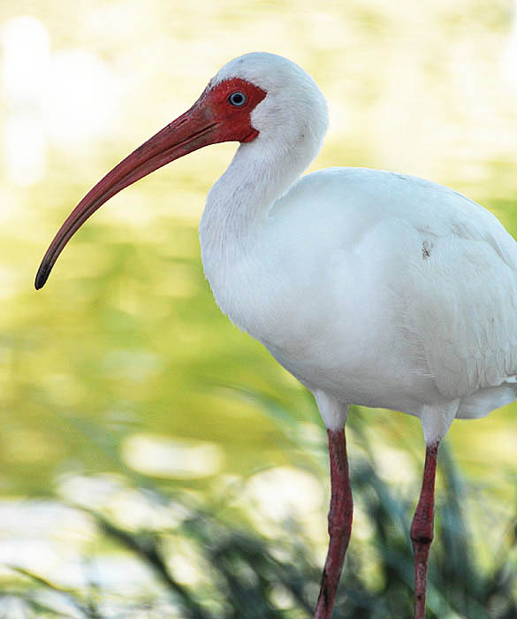 p2009 01 D200 0005m 700b