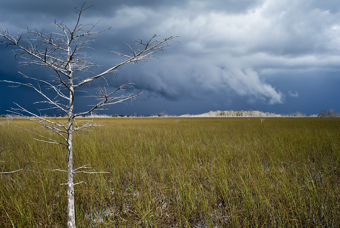 p2009 01 leica 00361c