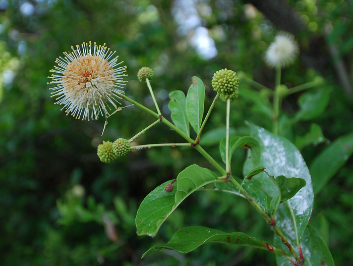 p2009 04 d200b 0026m2