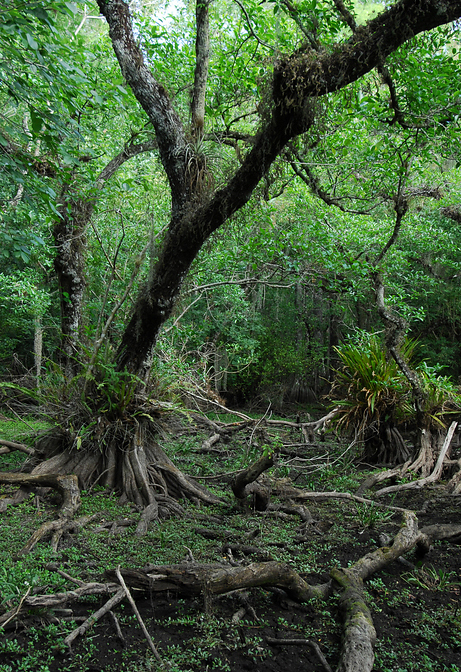 p2009 04 d200b 0042m