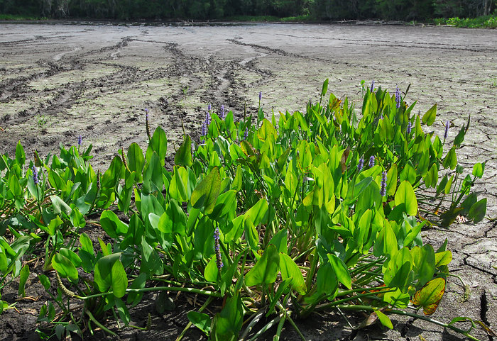 p2009 04 d200b 0044m