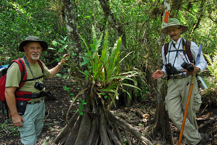 p2009 04 d200b 0056m