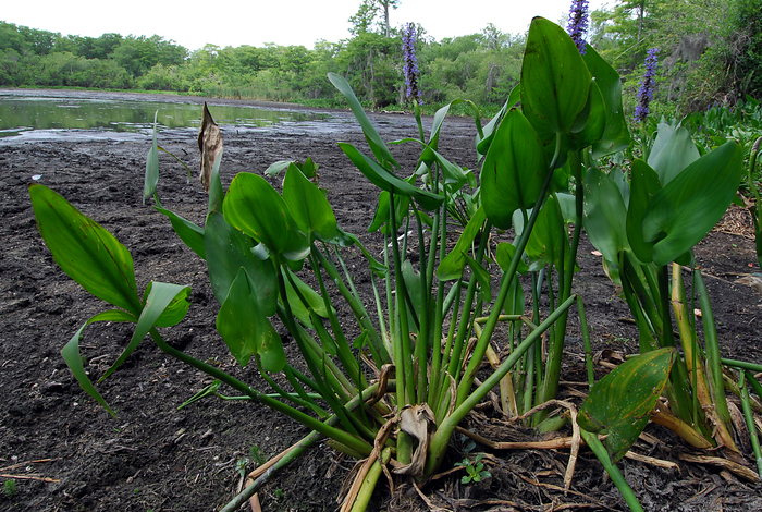 p2009 04 d200b 0072m