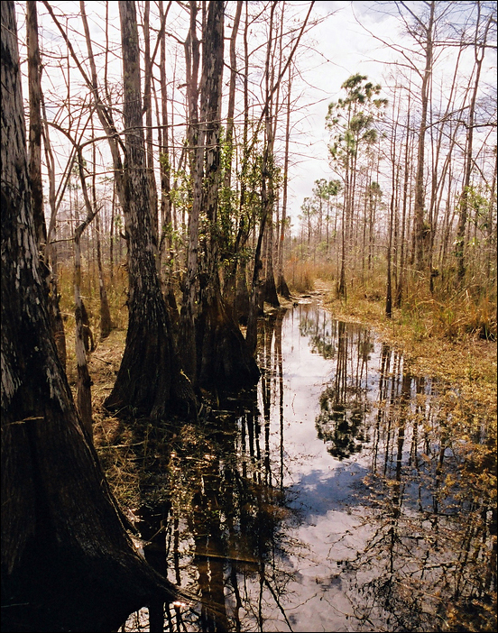 p2009 04 pcc3 87 14m