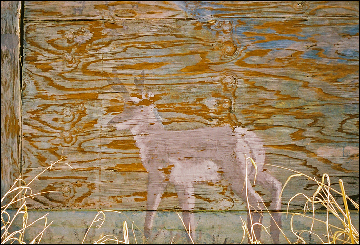 p2009 04 pcc4 25 14Am