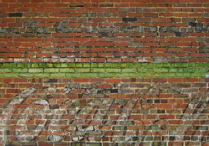 p2009 06 canon 2357m