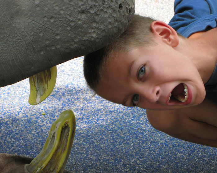 p2009 06 canon 2400m