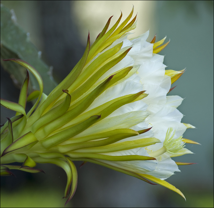 p2009 08b d200 0017m