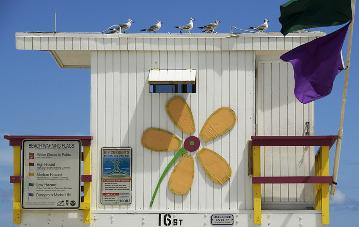 p2009 09 d200 0034m2