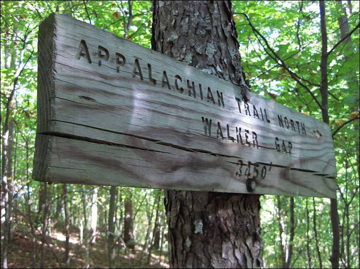 p2009 10 canon 3100m