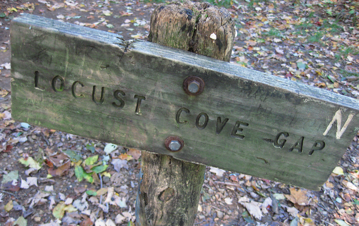 p2009 10 canon 3143m