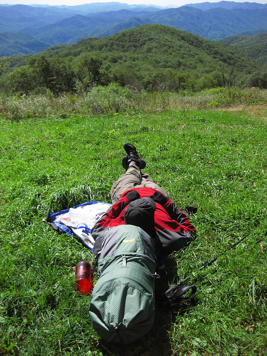 p2009 10 canon 3149m