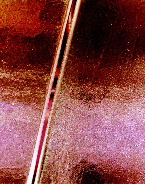 p2009 05 canon 1960m