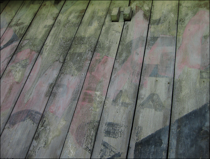 p2009 08canon 2458m2