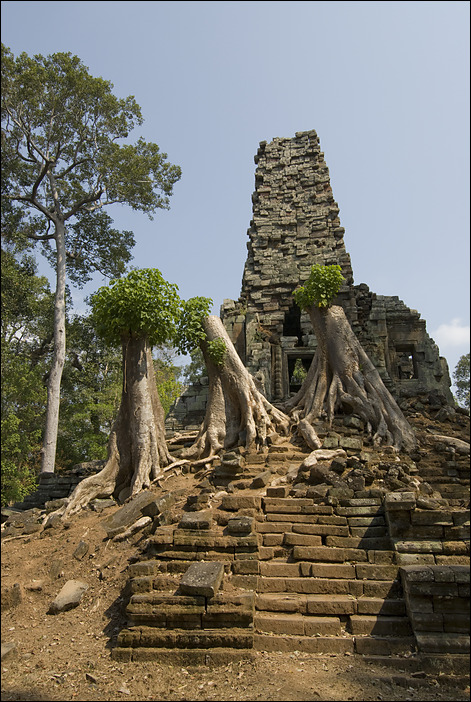 p2010 03 d200a 0033n