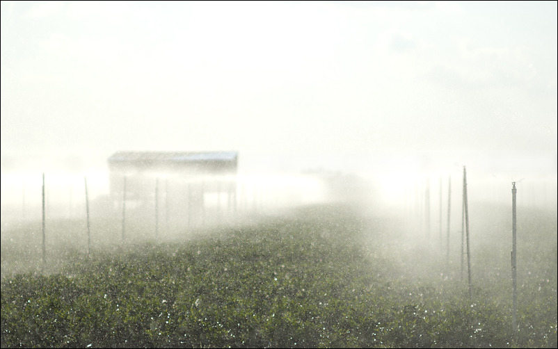 p2011 02 d200 0057m3