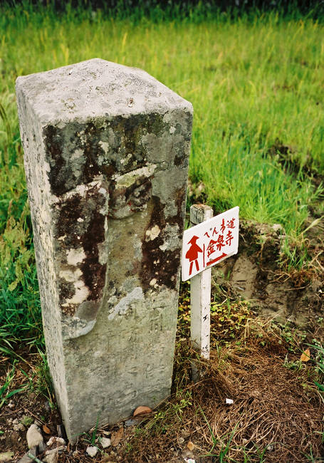 p2006 05c 6568 R01 061 29