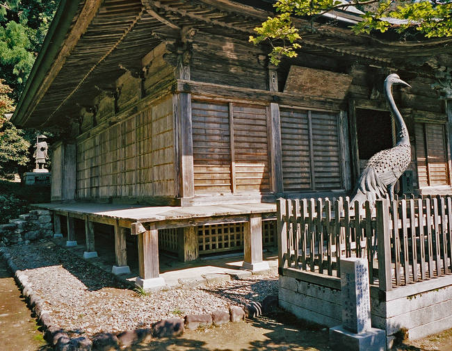 p2006 05j 6575 R01 043 20